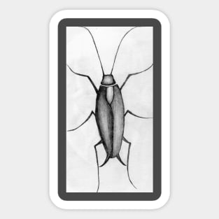 Cockroach Sticker